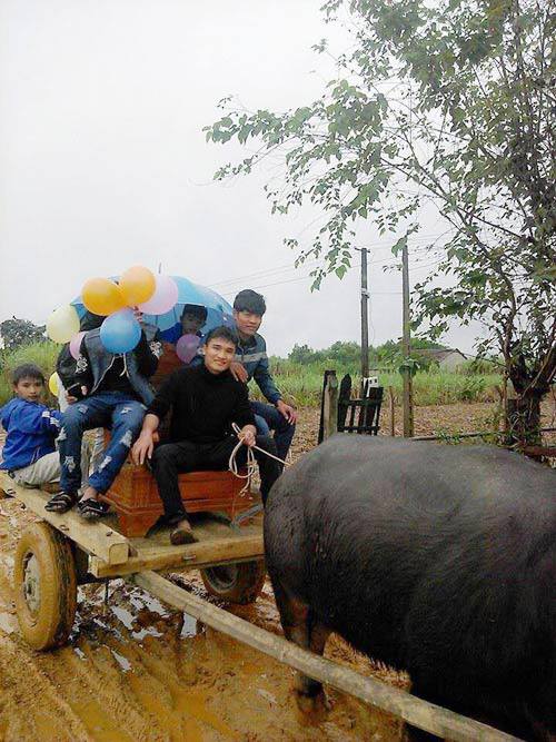 Đám[-]rước[-]dâu[-]bằng[-]xe[-]trâu[-]của[-]cặp[-]đôi[-]ở[-]xứ[-]Nghệ